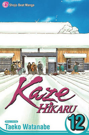 Cover of Kaze Hikaru, Vol. 12