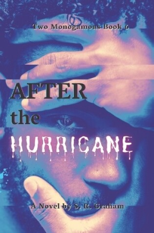 Cover of After the Hurricane