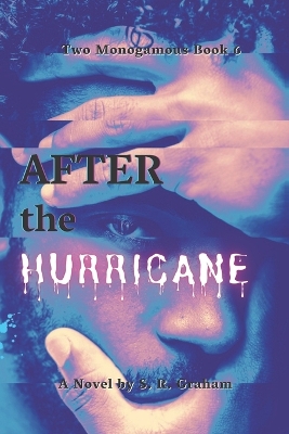 Book cover for After the Hurricane