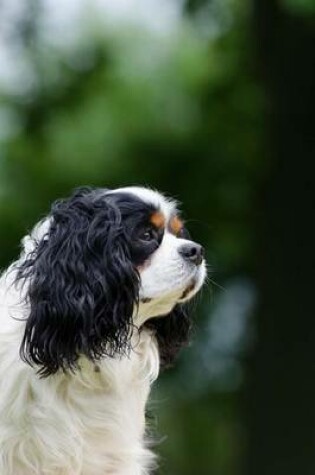 Cover of Cavalier King Charles Spaniel Dog Journal