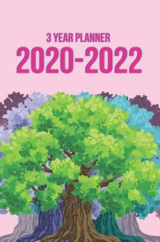 Cover of 3 Year Planner 2020-2022