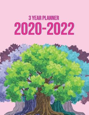 Book cover for 3 Year Planner 2020-2022