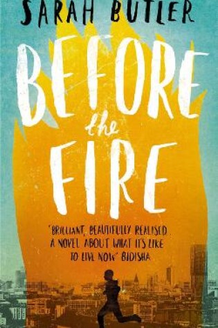 Cover of Before the Fire