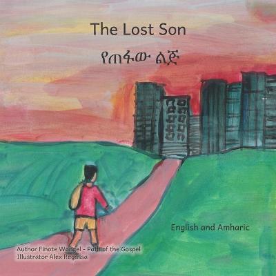 Book cover for The Lost Son