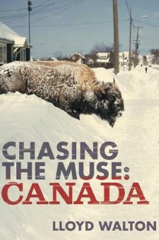 Cover of Chasing the Muse