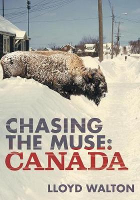 Book cover for Chasing the Muse