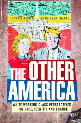 Cover of The Other America