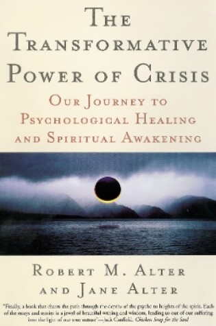 Cover of The Transformative Power of Crisis