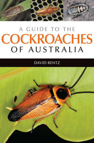 Cover of A Guide to the Cockroaches of Australia