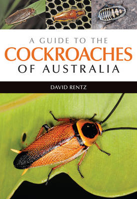 Book cover for A Guide to the Cockroaches of Australia