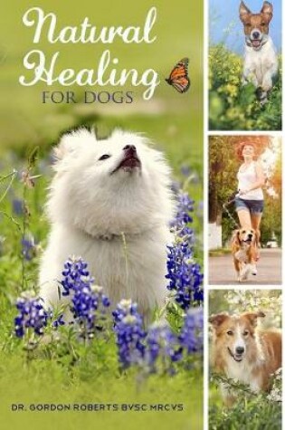 Cover of Natural Healing for Dogs