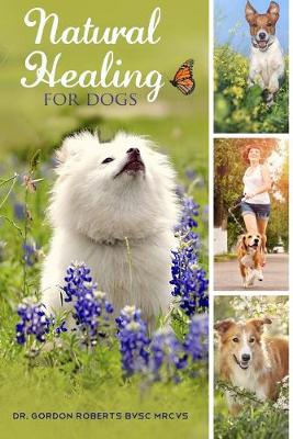 Book cover for Natural Healing for Dogs