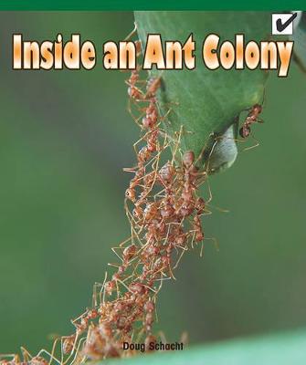 Book cover for Inside an Ant Colony