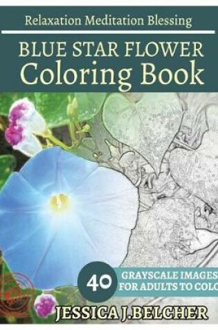 Cover of Blue Star Flower Coloring Book for Adults Relaxation Meditation Blessing