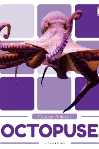 Cover of Ocean Animals: Octopuses