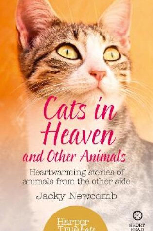 Cover of Cats in Heaven