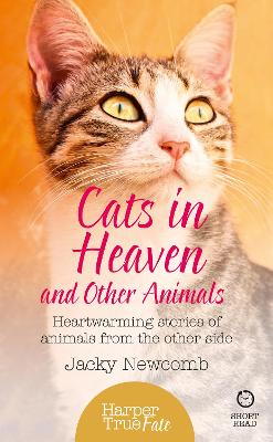 Cover of Cats in Heaven