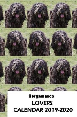 Book cover for Bergamasco Lovers Calendar 2019-2020