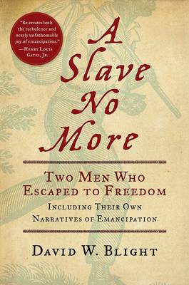 Book cover for A Slave No More