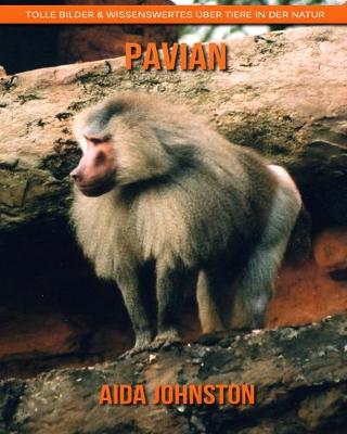 Book cover for Pavian