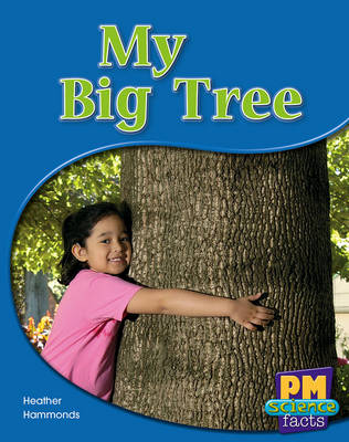 Book cover for My Big Tree