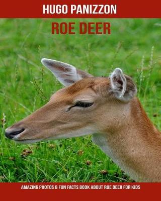 Book cover for Roe Deer