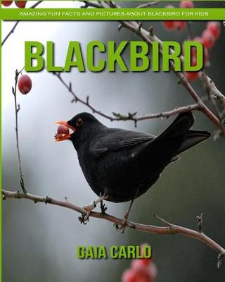 Book cover for Blackbird