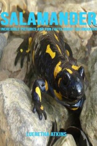 Cover of Salamander