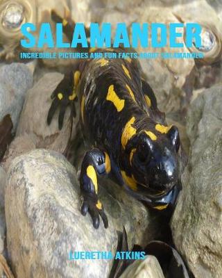 Book cover for Salamander