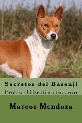 Book cover for Secretos del Basenji