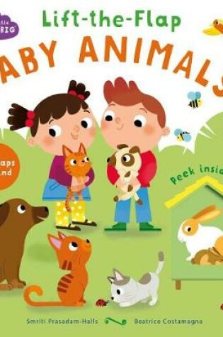 Cover of Lift-The-Flap Baby Animals