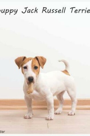 Cover of Jack Russell Terrier Puppy 2022 Calendar