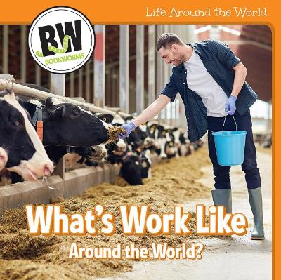 Cover of What's Work Like Around the World?