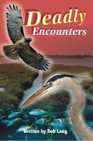 Cover of Deadly Encounters