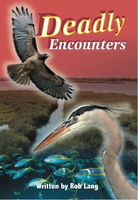 Book cover for Deadly Encounters