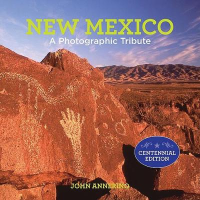 Book cover for New Mexico