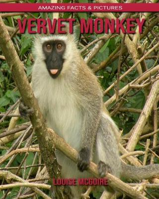 Cover of Vervet Monkey