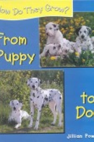 Cover of From Puppy to Dog