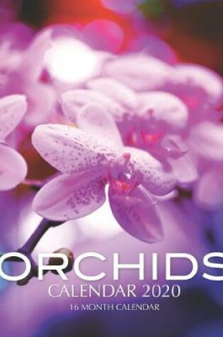 Cover of Orchids Calendar 2020