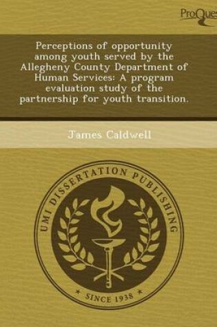 Cover of Perceptions of Opportunity Among Youth Served by the Allegheny County Department of Human Services: A Program Evaluation Study of the Partnership for