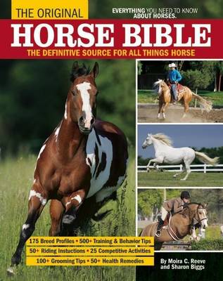 Book cover for Original Horse Bible