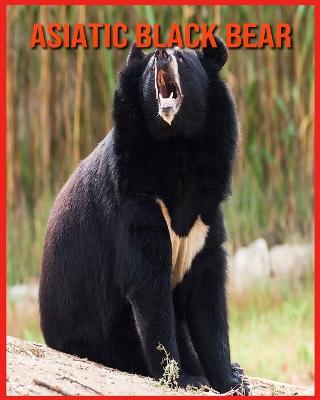 Book cover for Asiatic Black Bear