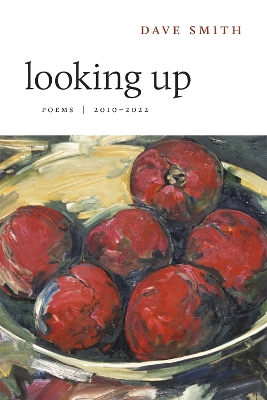 Book cover for Looking Up