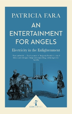 Book cover for An Entertainment for Angels (Icon Science)