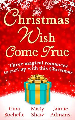 Book cover for Christmas Wish Come True