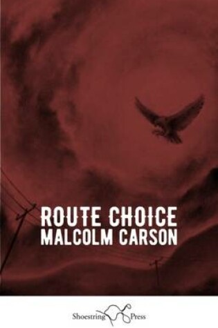 Cover of Route Choice