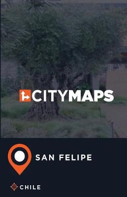 Book cover for City Maps San Felipe Chile