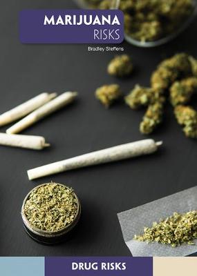 Book cover for Marijuana Risks