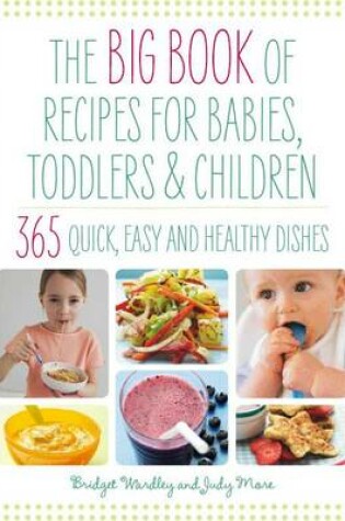 Cover of Big Book of Recipes for Babies, Toddlers and Children