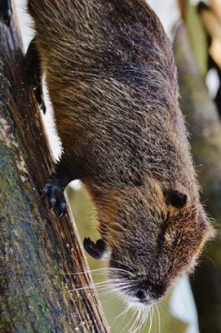 Cover of A Nutria Climbing Out of the Water